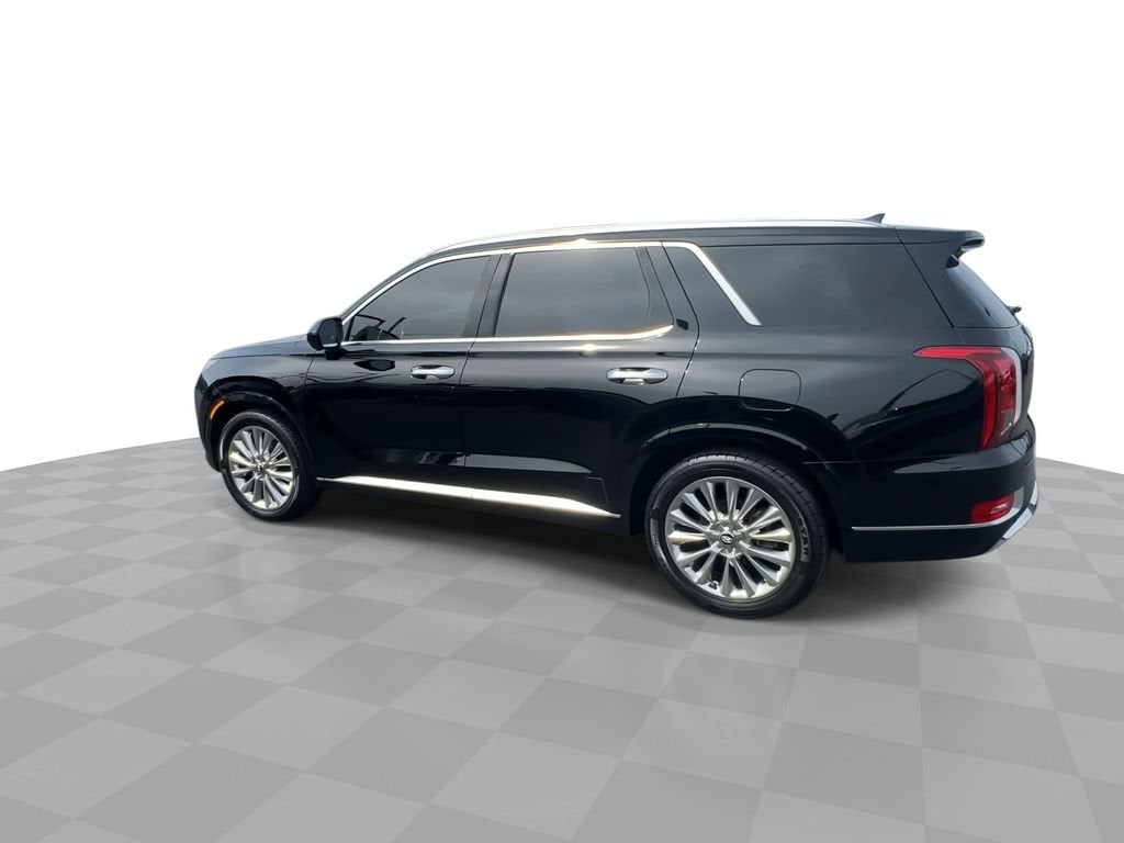 2020 Hyundai Palisade — detail view